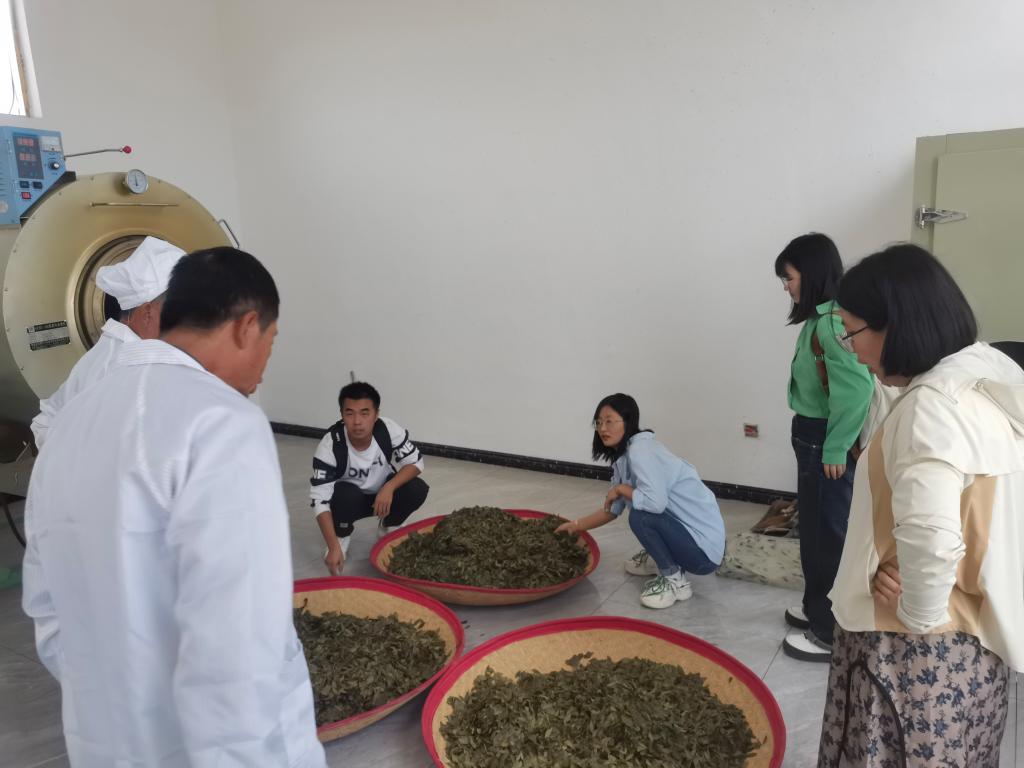 k8凯发师生赴甘肃茂群天运文冠果公司参观学习