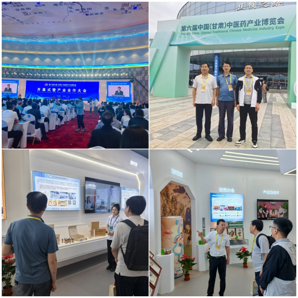 k8凯发教师代表参加第六届中国（甘肃）中医药产业博览会