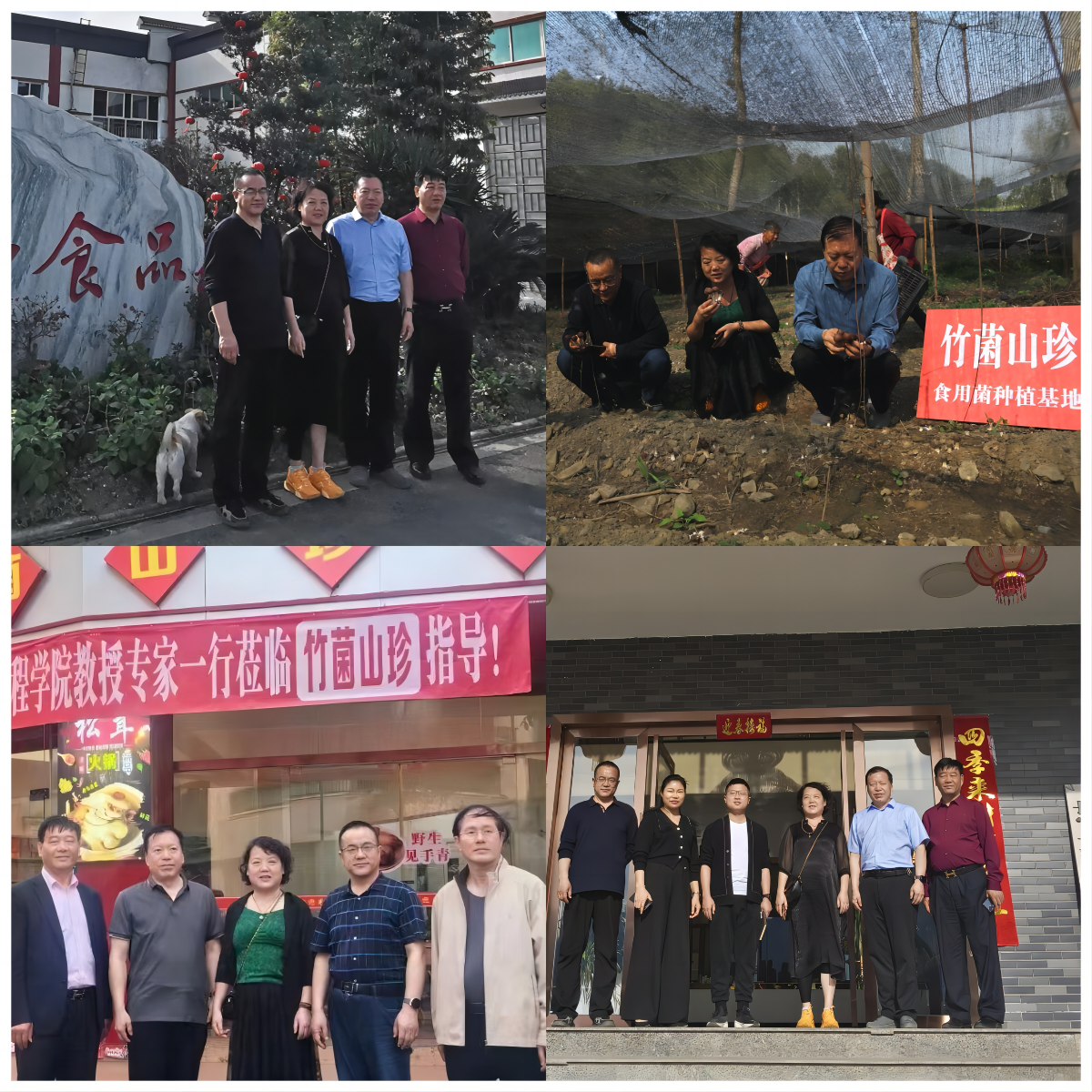 k8凯发教师到宜宾“竹菌山珍”等公司调研