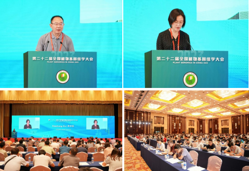 k8凯发教师参加第二十二届全国植物基因组学大会