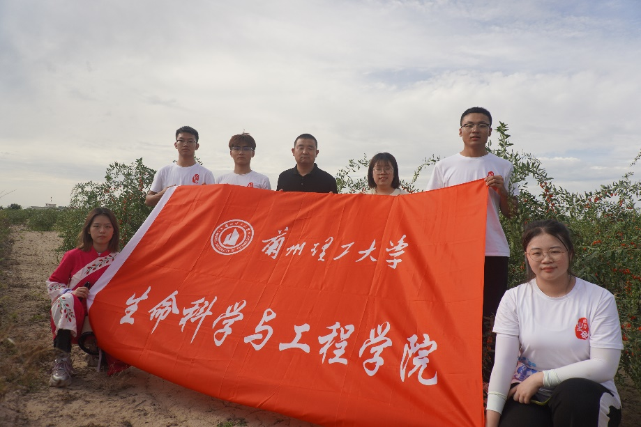 k8凯发旗舰厅暑期社会实践团“红耀兴农先锋队”前往靖远县靖安乡助力枸杞产业发展