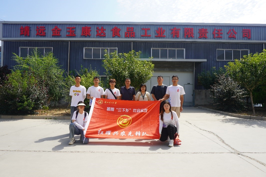 k8凯发旗舰厅社会实践团“红耀兴农先锋队”深入靖远农产品加工企业开展实践学习
